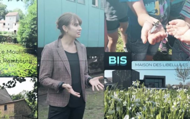 BIS le magazine de la curiosité