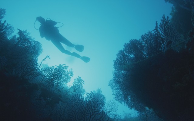 Grotte Cosquer, Homo Sapiens et la mer