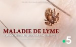 Affiche de Maladie de lyme, l'épidémie silencieuse