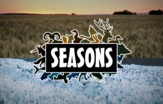 Preview of The Emerald Isle success