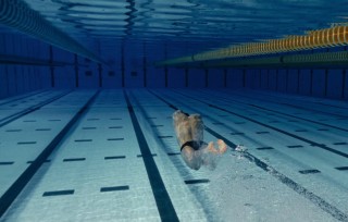 Aperçu de Plus vite, plus haut, plus fort