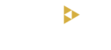 Digivision